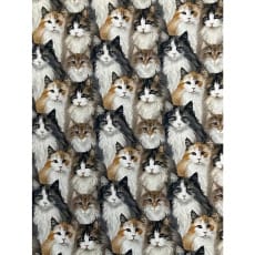 Jersey Stoff Kinderstoff Digitaldruck Katzen