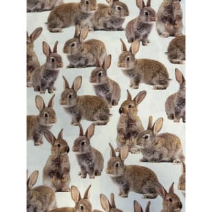 Canvas Digital Stoff Dekostoff Baumwollstoff Hase kaufen