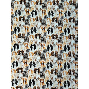 Jersey Stoff Kinderstoff Hunde Digitaldruck kaufen