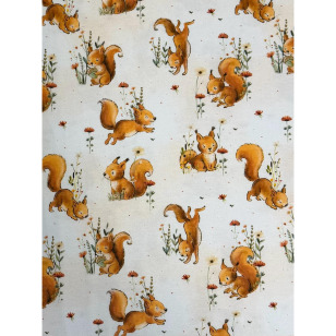 Jersey Stoff Kinderstoff Eichhörnchen kaufen