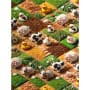 Baumwollstoff Kinderstoff Digitaldruck Bauernhof Breite 150cm