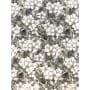 Softshell Jackenstoff Kinderstoff Digitaldruck Blumen